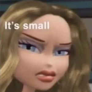 Meet your Posher, Ashh